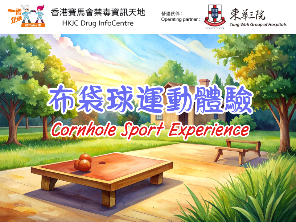 Cornhole Sport Experience   